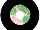 Roots Reggae Dub Scatter Light Rock - God's Children - Glen Brown - PANTOMINE 7