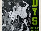 DYS wolfpack LP Punk KBD Minor Threat SSD Antidote BOSTON Hardcore Slapshot NYHC