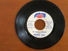 THE AMERICAN BLUES, PRE-ZZ TOP. RARE 45 RPM Record, Rocky & Dusty Hill, F Beard