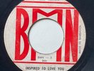 THE BLUES BROTHERS - Inspired To Love You / SOUL FUNK JAMAICA BMN