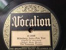 VG++ Tennessee Tooters - VOCALION 15068 - Watch’s Call Em Blues/Millenberg Joys