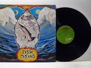 STEVE HILLAGE fish rising LP EX/EX, V2031, vinyl, album, prog rock, space rock
