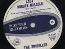 THE SHIRELLES  Rare 1967 Aust Only 7