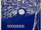 THE ROGER WEBB SOUND - MOONSHADE - 1971 UK Music De Wolfe DWS/LP 3212 Very RARE