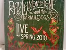 Ray LaMontagne and the Pariah Dogs Live Spring 2010 RSD LP Bob Dylan Poster 10