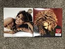 Janet Jackson Velvet Rope Limited color vinyl All for you Limited picture disc