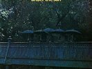 Nucleus - Under The Sun (LP) 2022 Vinyl Brand New and Sealed - Ian Carr