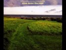 Bonnie 'Prince' Billy Ease Down the Road (Vinyl) 12