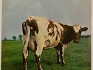 Pink Floyd - Atom Heart Mother - Vinyl LP 1970 - Australian Press Quadraphonic