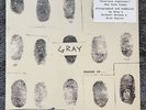 BASQUIAT + GRAY SHADES OF... LP - Plush Safe 2013 Pressing M/M