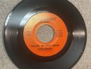 HEAR  NM RARE SWEET FUNK 45 Dyna-Might Fallin In Love Again A Rose By Any Other