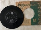 JOHNNY DEVLIN 1965 PAUL McCARTNEY Walk Your Cat/Wont You Be My Baby 7