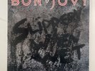 Slippery When Wet LP by Bon Jovi vinyl 1986 VG+ 422-830264-1M-1 Mercury Records