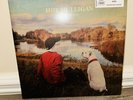 Hot Mulligan • You'll Be Fine Vinyl LP - Gold Nugget  /1000 • Sealed Ships Today