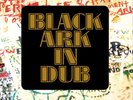 Black Ark Players Black Ark in Dub (Vinyl) 12
