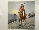 FABRIZIO DE ANDRE' - Indiano - LP VINILE Disco - Ricordi 1981 SMRL 6281
