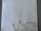 The Beatles - The White Album Numbered - Japan 1976 Release - Apple EAS 77001-2