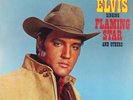 Elvis Singing Flaming Star and Others LP Vinyl RCA Rock SEALED
