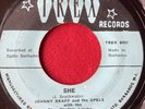 JOHNNY BRAFF _ Island Northern Soul _ SHE 45 BLUE RHYTHM COMBO Barbados 7