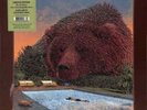 Villagers fever dreams dark green vinyl NEW, not sealed 4 diff cover pictures