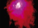 Porcupine Tree - Up the Downstair - Double Vinyl LP - TRANSM172LP - New & Sealed