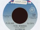 Northern Soul 45 - Allison and Calvin Turner - Yeah Memories Checker Promo HEAR