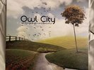 Owl City - All Things Bright And Beautiful : 180 Gram Vinyl (Rare Black Vinyl)