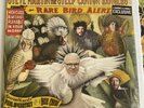 Steve Martin &  Steep Canyon Rangers - Rare Bird Alert Exclusive Vinyl LP SEALED