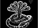 Turbonegro - Apocalypse Dudes White Vinyl Edition (1998 - EU - Reissue)