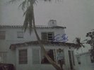 Eric  Clapton Signed 461 Ocean Boulevard from 1974- vinyl