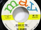 the DREAMERS 45 Because of You / Little Girl MAY 2nd label MINT- doowop Kz 1118