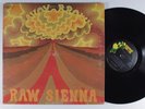 SAVOY BROWN Raw Sienna PARROT LP VG+ gatefold r