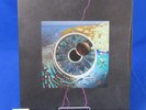 Pink Floyd Pulse 4LP Vinyl Box Set 180g Reissue/Remastered 2018 European Release