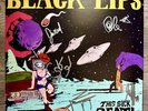 The Black Lips SIGNED Vinyl LP ‎This Sick Beat  10