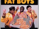 FAT BOYS 1984 Self Titled Debut LP Vinyl Album | EX/EX SUTRA Records SUS 1015