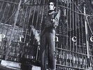 HMV Shibuya  PRINCE COME(9362457001)