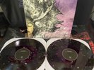 Protest The Hero Fortress Hellbent On Heaven Burst Color Vinyl LP x/750 New