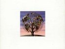 Talk Talk: Laughing Stock (180g) - Polydor 5365519 - (Vinyl / Pop (Vinyl))