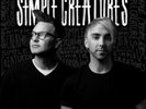 Simple Creatures: Everything Opposite [Vinyl] UK - Import