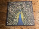 The Bluetones - Expecting To Fly, Original Ltd Edition Special Sleeve + Booklet