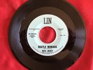 Ray Ruff, Lin 5034, Beatle Maniacs & I Took A Liking To You, Buddy Holly style