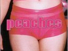 PEACHES The Teaches of Peaches LP NEW VINYL XL Electroclash
