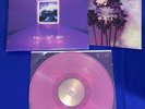 RARE Fall Out Boy Mania LP RECORD 1st PRESSING Lavandar COLOR VINYL CLEAN