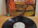 The Children Rebirth Atco Records White Label Promo Psych Rock Vinyl LP