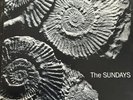 The Sundays Reading Writing and Arithmetic Rare 1st Press Vinyl