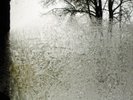 For Emma, Forever Ago by Bon Iver Vinyl LP
