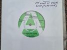 Very Rare  Motown Isley Brothers - My love is your love TMG499