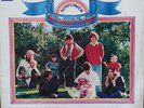 BEACH BOYS SUNFLOWER VINYL LP SSLA 8251. GOOD CONDITION.