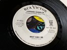 LORRAINE CHANDLER . What can I do . Classic Northern Soul ORIGINAL issue.