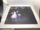 Vinyl - Wolf Alice - Visions of a Life - Hand Signed Vinyl LP